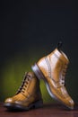 Footwear and Shoes Concepts. Pair of Premium Tanned Brogues