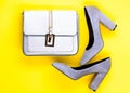 Footwear for women with thick high heels and bag, top view. Fashionable accessories concept. Pair of fashionable high