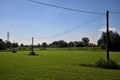 Forage grass field with wooden electricity poles on a summer day Royalty Free Stock Photo