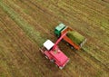 Forage harvester during grass cutting for silage in field. Harvesting biomass crop. Self-propelled Harvester for agriculture Royalty Free Stock Photo