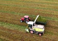 Forage harvester during grass cutting for silage in field. Harvesting biomass crop. Self-propelled Harvester for agriculture Royalty Free Stock Photo