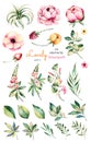 Foral collection with flower,peonies,leaves,branches,lupin,air plant,field bindweed,strawberry and more.