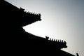 Forbidden City Roof Carving, Beijing China Travel Royalty Free Stock Photo