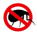 Forbidden Floh Insect Royalty Free Stock Photo