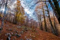 Forca d`Acero, Abruzzo National Park, Italy