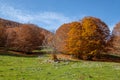 Forca d`Acero, Abruzzo National Park, Italy