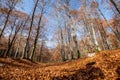 Forca d`Acero, Abruzzo National Park, Italy