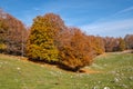 Forca d`Acero, Abruzzo National Park, Italy Royalty Free Stock Photo