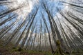 Forca d`Acero, access to Parco Nazionale d`Abruzzo, Italy Royalty Free Stock Photo