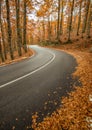 The wonderful Autumn colors of Abruzzo, Lazio and Molise National Park, Italy Royalty Free Stock Photo