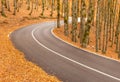 The wonderful Autumn colors of Abruzzo, Lazio and Molise National Park, Italy Royalty Free Stock Photo