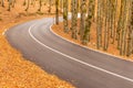 The wonderful Autumn colors of Abruzzo, Lazio and Molise National Park, Italy Royalty Free Stock Photo