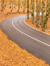 The wonderful Autumn colors of Abruzzo, Lazio and Molise National Park, Italy Royalty Free Stock Photo