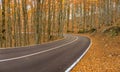 The wonderful Autumn colors of Abruzzo, Lazio and Molise National Park, Italy Royalty Free Stock Photo