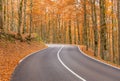 The wonderful Autumn colors of Abruzzo, Lazio and Molise National Park, Italy Royalty Free Stock Photo