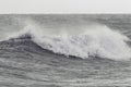 Force of nature. Seagull flying over crashing wave at sea Royalty Free Stock Photo