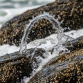 Forcefully against dark barnacle covered rocks capturing a circular Royalty Free Stock Photo