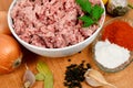 Forcemeat with spices Royalty Free Stock Photo
