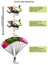 Forces when skydiving infographic diagram Royalty Free Stock Photo