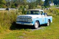 Ford F100 antique pickup truck parked in a farm field along the roadside blue