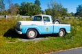 Ford F100 antique pickup truck parked in a farm field along the roadside blue