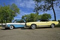 Ford Fairlane and Galaxy 500 classic cars Royalty Free Stock Photo