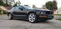 2005 Ford Mustang Royalty Free Stock Photo