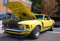 1970 Ford Mustang Boss 302 Automobile