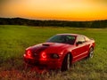 Ford Mustang GT Royalty Free Stock Photo