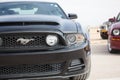 Ford Mustang on the race track b.b