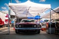 Ford Mustang racing car Royalty Free Stock Photo