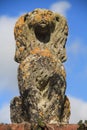 Top Dog - Statue At Forde Abbey, Somerset, UK Royalty Free Stock Photo