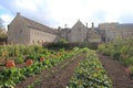 Rhubarb, Rhubarb - Terracotta Rhubarb Forcers, Forde Abbey, Somerset, UK Royalty Free Stock Photo