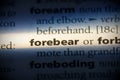 Forebear Royalty Free Stock Photo