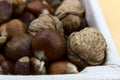 In the foreground the chestnuts and walnuts