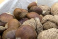 In the foreground the chestnuts and walnuts