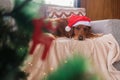 In the foreground is a Christmas tree, against a dog on the sofa in a Santa hat. Royalty Free Stock Photo