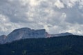 Foreground on the Croda del Becco, Seekofel