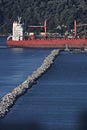 A cargo ship in the Gulf of La Spezia, Liguria