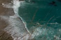 Foreground detail on a cliff off the California coast