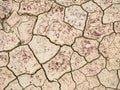 Dry land texture Royalty Free Stock Photo