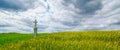 Rural landscape. Beautiful clouds in the sky. A roadside thanksgiving cross, commemorative