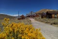 In the foreground are flowers, in the background a blurred Ghost Town, Bodie, California