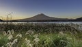 Foreground green grass with Fujisan Mountain background