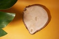 In the foreground is a green leaf that gives shade. Wooden cross-section as a showcase for cosmetics. Top view, layout