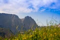 In the foreground growing grass, and in the background a view of Giewont Mountain