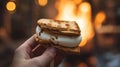 A close-up of a hand holding a freshly assembled s\'more, capturing the anticipation before the first bite.