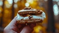 A close-up of a hand holding a freshly assembled s\'more, capturing the anticipation before the first bite.