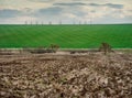 large pieces of soil from a plowed field, in the background to a green field with patterns and trees Royalty Free Stock Photo