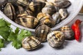 Fresh clams in the foreground